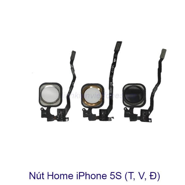 Nút home 5S