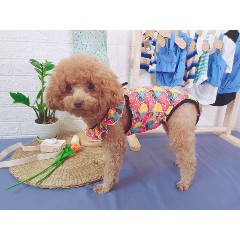 Bikini cho thú cưng/Quần sinh lý liền thân cho cún cái