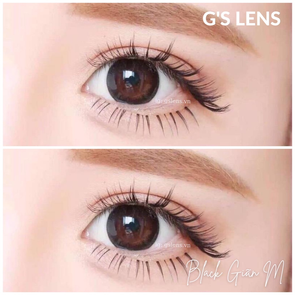 Lens Mắt Kính Áp Tròng Đen Trơn Size M Giãn Vừa 14.2mm Có 0 Đến 8 Độ Lệch Độ Black G'S LENS