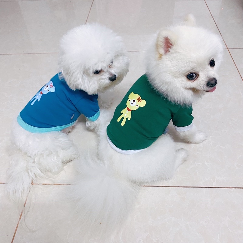 Áo Thun Cotton Gấu Giá Rẻ Quần Áo Thú Cưng Carapets