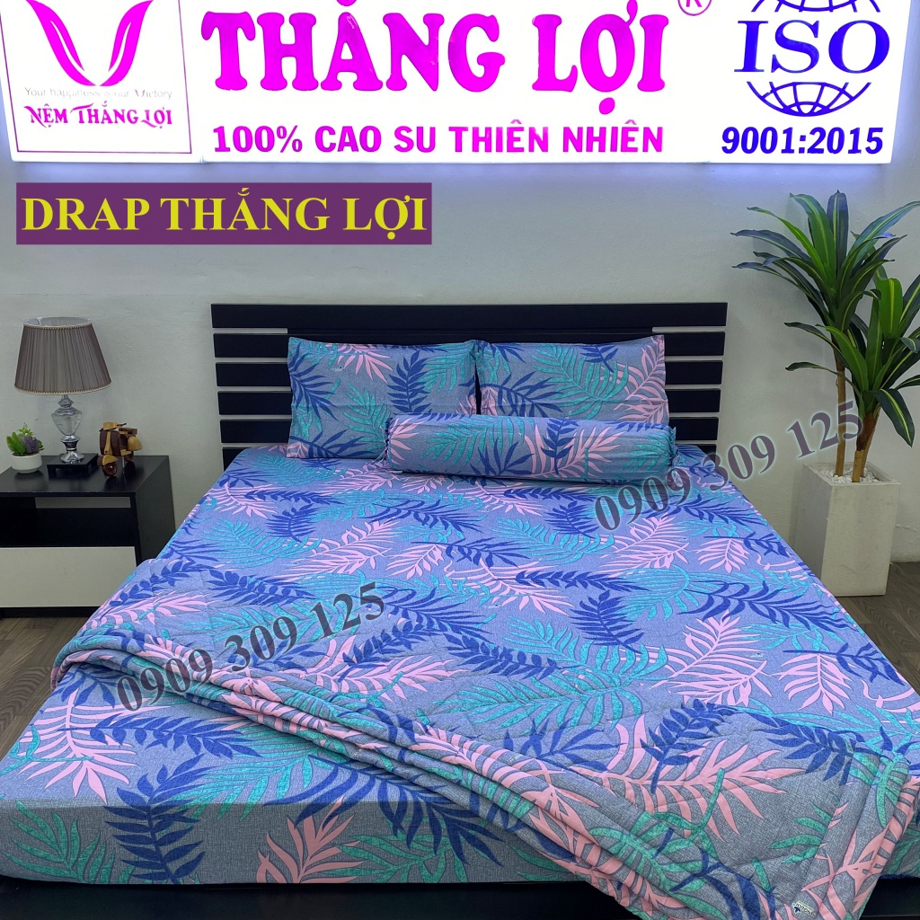 Drap cotton Thắng Lợi, ga giường chuẩn logo CTY (4 món) mát mịn mẫu LÁ LIỄU
