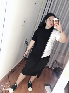 Set đồ cut out cá tínn