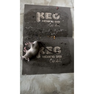 Bẫy keo dính chuột Quang Thiều