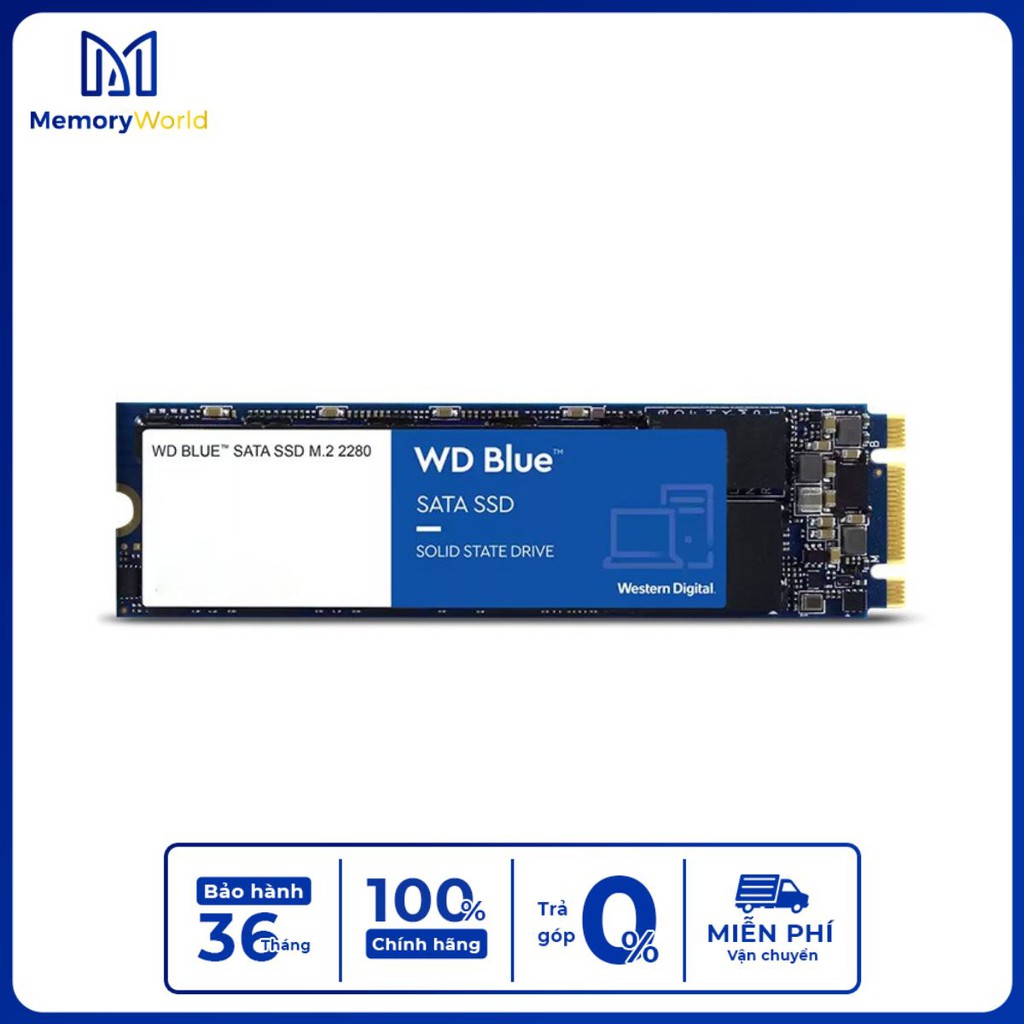 SSD Western 500GB M2 Sata 3 Blue_WDS500G2B0B Hãng - Chính Hãng - YourMemoryWorld