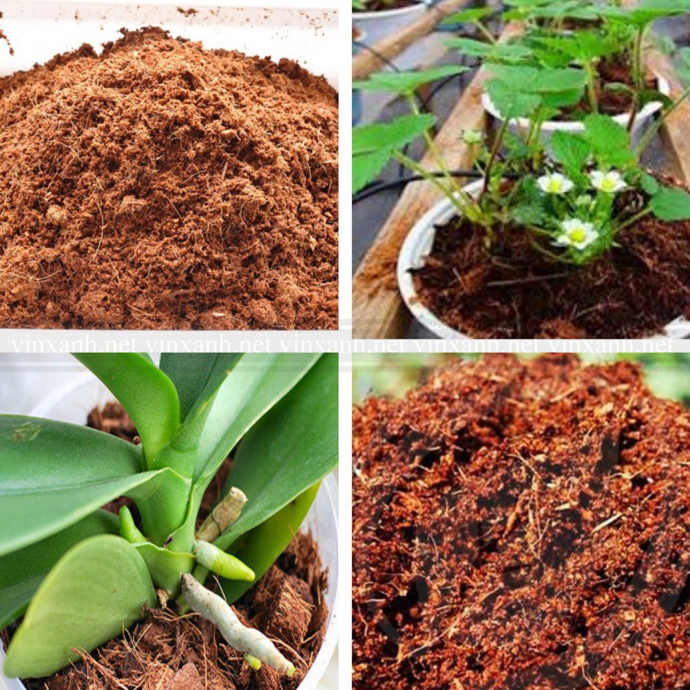 Xơ dừa nén - đất nén hữu cơ xơ dừa cục lớn 0.5kg đã xử lý SẠCH MẦM BỆNH - KHÔNG HÓA CHẤT dùng trồng rau hoa củ quả sạch
