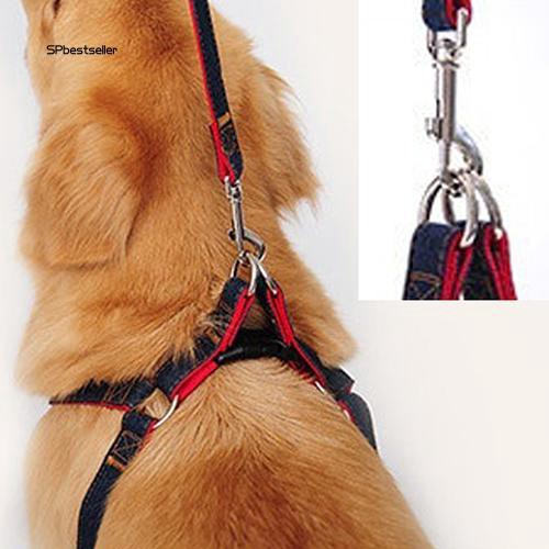 Dây đai dắt chó cưng đi dạo có vòng yếm