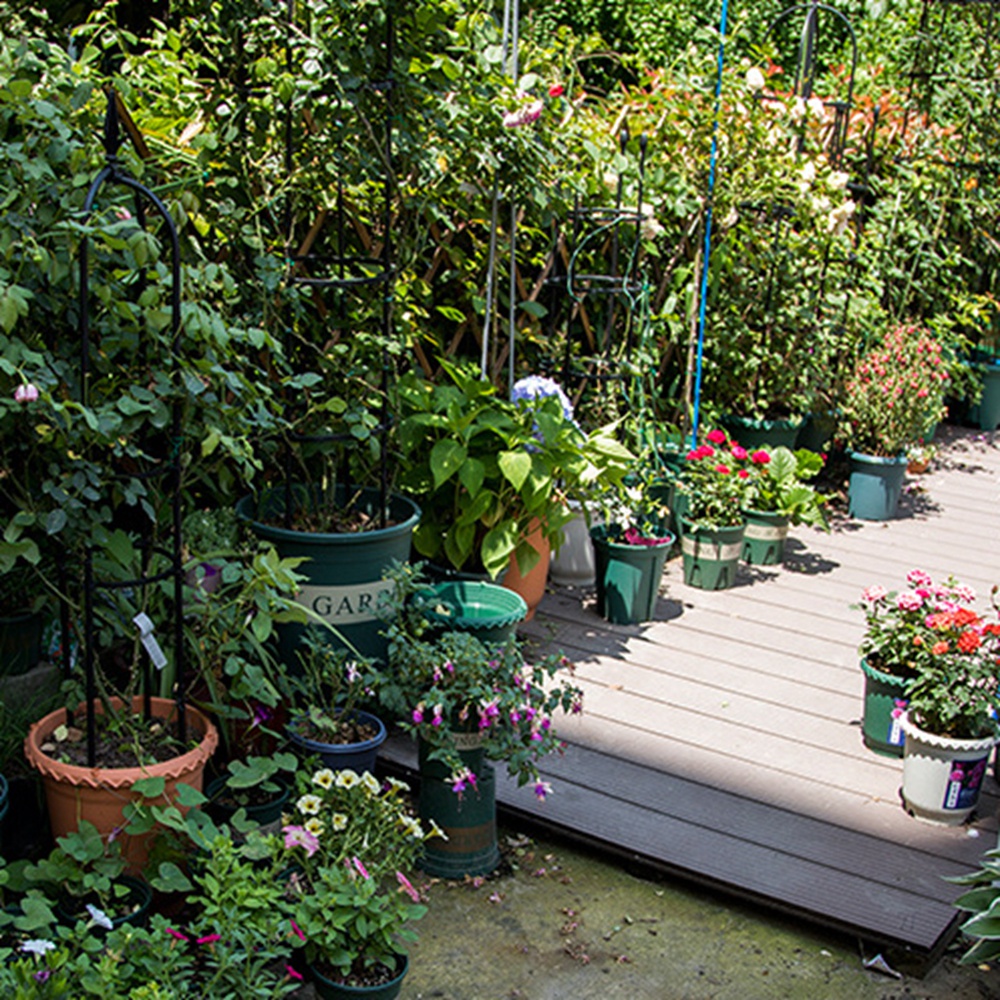 Epoch Chậu Nhựa Trồng Cây Hoa Sen Phong Cách Bắc Âu