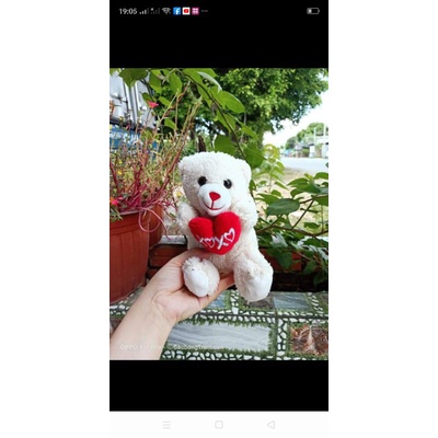 Gấu bông teddy gói quà 20/10
