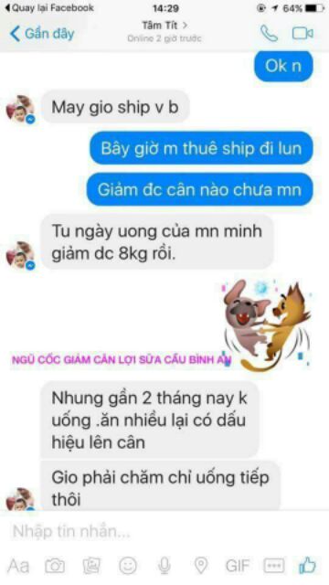 NGŨ CỐC TĂNG CÂN/ GIẢM CÂN/ LỢI SỮA CẦU BÌNH AN.