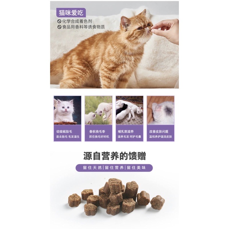 Dưỡng lông cho mèo Nourse 12 ngăn ngừa rụng lông bóng mượt lông Surica NM12 (30gram)