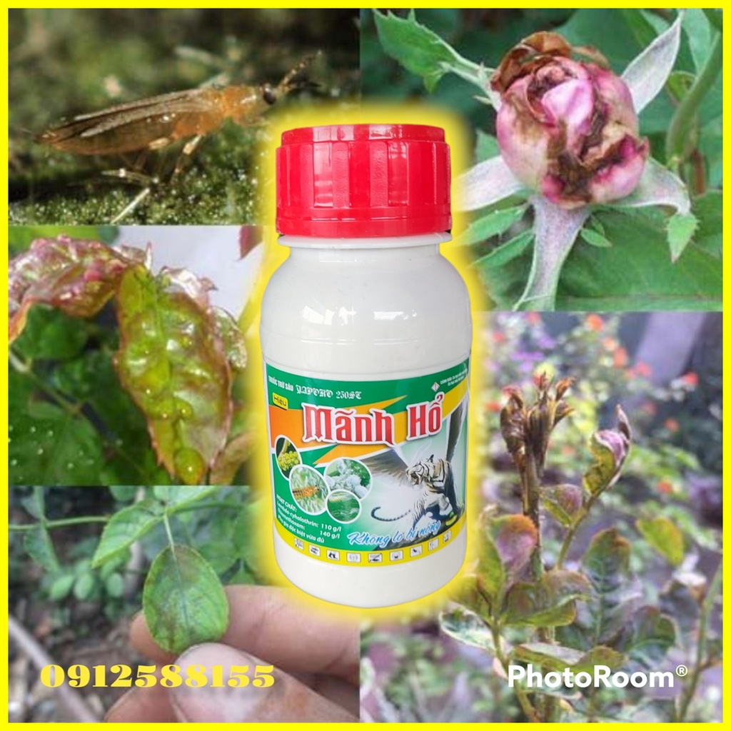 Thuốc Đặc Trị Rệp Sáp, Bọ Trĩ Mãnh Hổ Dung tích 240ml - VTNN Bắc Từ Liêm