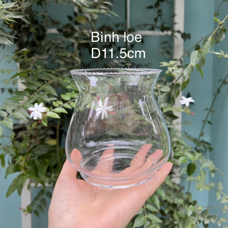 Bình thủy tinh dáng tròn nhiều cỡ, bình cắm hoa trồng cây nuôi cá thủy sinh thủy canh