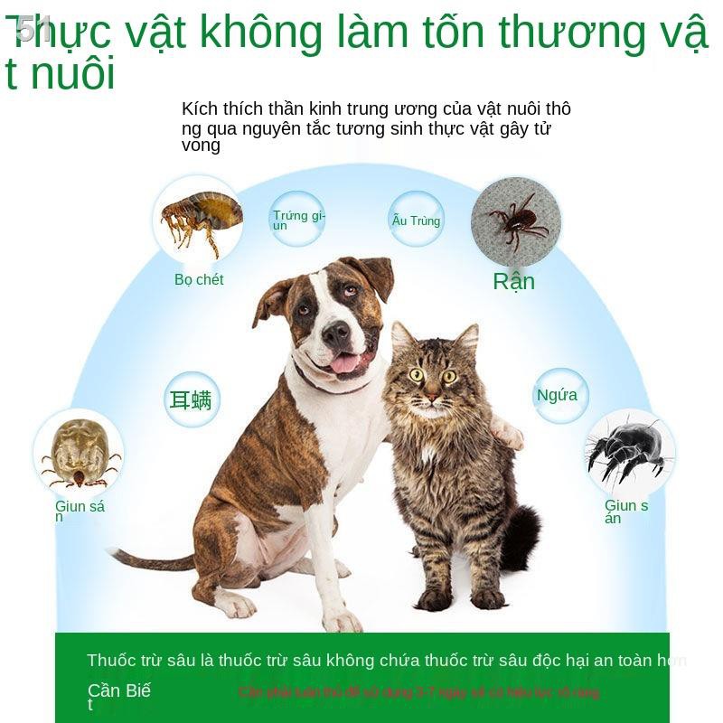 thuốc bọ chét bên ngoài the dog tẩy giun cho mèo veA