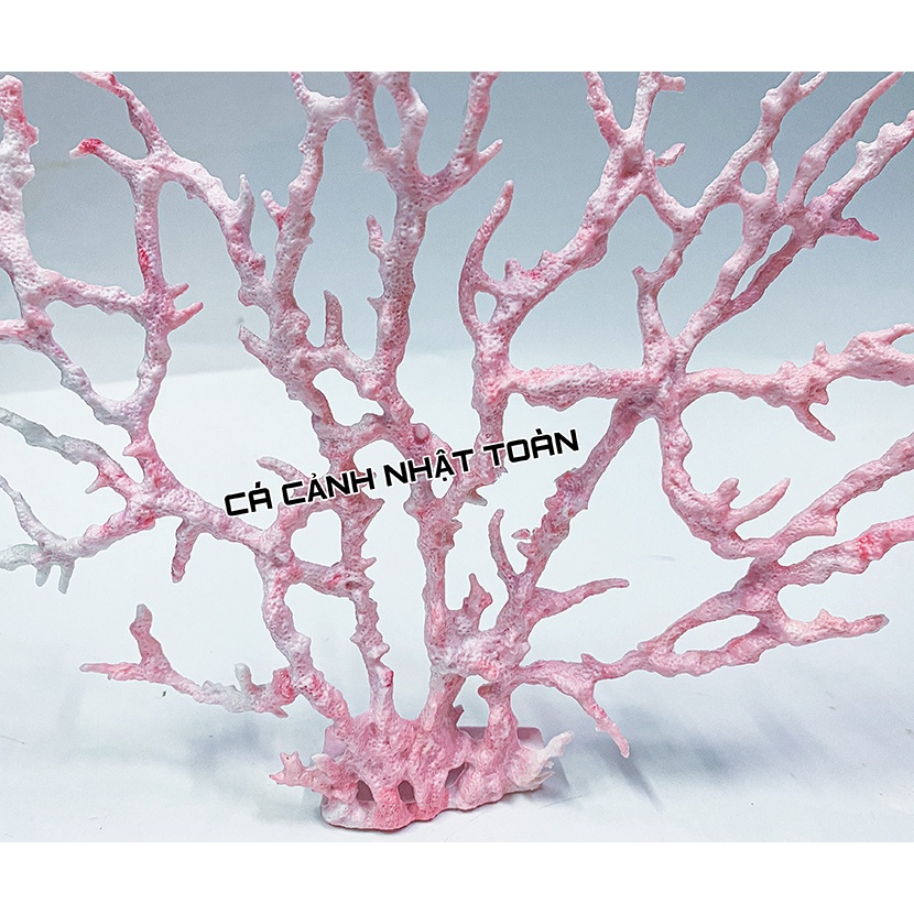 BỤI SAN HÔ GIẢ TRANG TRÍ BỀ CÁ 22X34CM