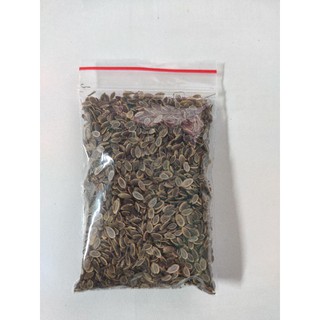 Hạt giống thìa là ( túi ríp)