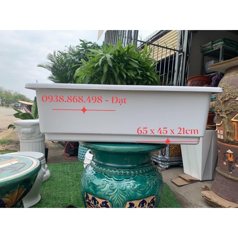 Chậu TRỒNG RAU, NUÔI CÁ thông minh D65cm x R45cm x C21cm MÀU TRẮNG