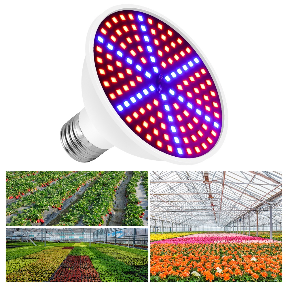 Bóng Đèn LED Trồng Cây E27 220V Uv Kích Thích Tăng Trưởng Cho Cây Cảnh