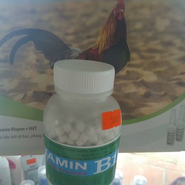 Vitamin B1