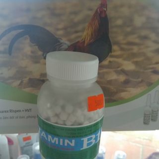 Vitamin B1