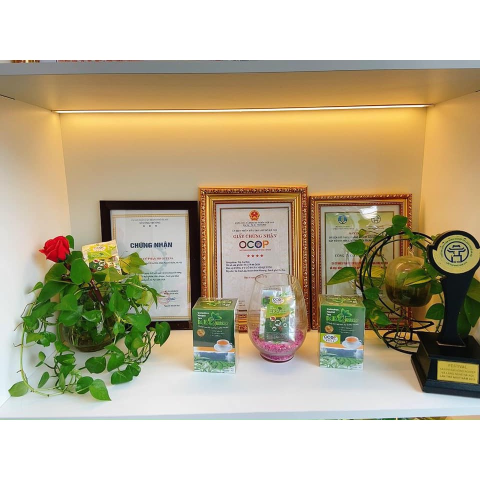 Trà xạ đen MD Queens 100% thảo dược thiên nhiên giúp ổn định huyết áp, hạ mỡ máu, men gan, thanh lọc cơ thể | BigBuy360 - bigbuy360.vn