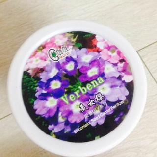 Hộp hạt giống hoa vân anh (chậu + đất + hạt giống)