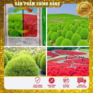 Hạt Giống Cỏ Đổi Màu Nhật Bản(50 hạt)
