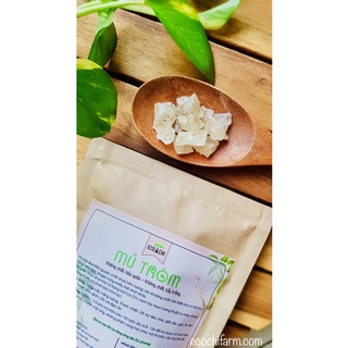 MỦ TRÔM SẠCH NGUYÊN CHẤT - HỖ TRỢ GIẢM CÂN