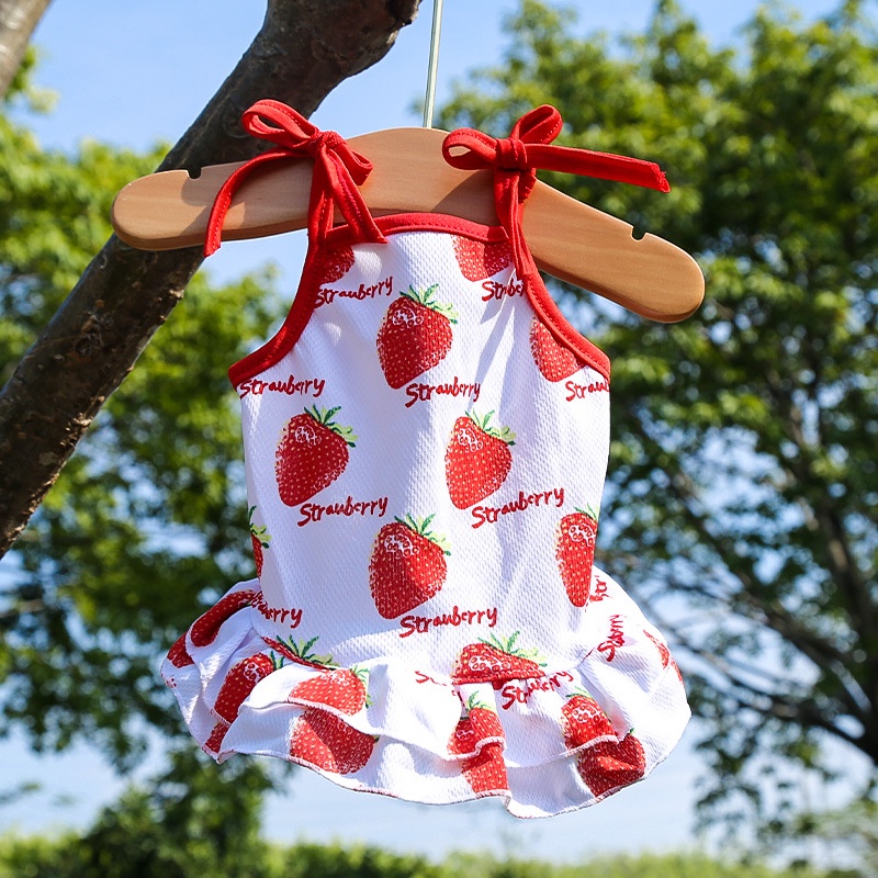 Đầm Lưới In Họa Tiết Trái Cây Dễ Thương Xinh Xắn Cho Thú Cưng