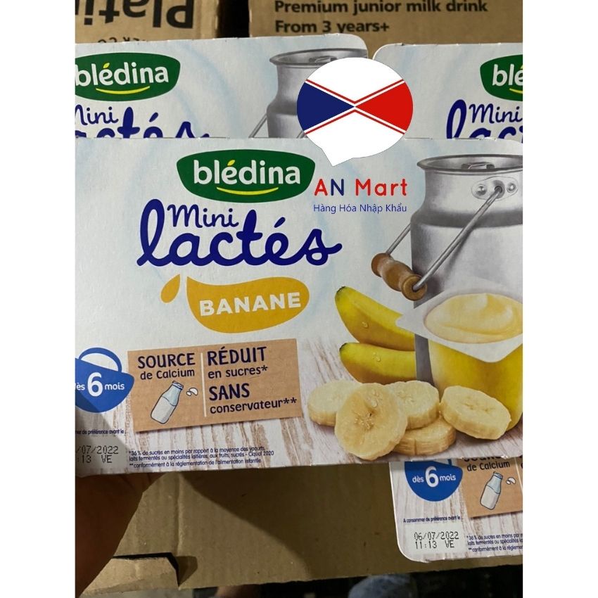 Sữa chua nguội Bledina Đủ Vị Hàng Nhập Khẩu Pháp Bay AirCargo vỉ 6 hộp x 60g