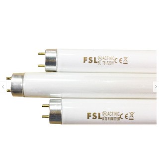 3 Bóng đèn diệt côn trùng 10w - 33cm