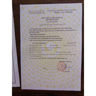 Ngũ cốc Gieo hạt  lợi sữa