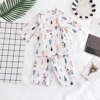 Bộ cotton giấy BT&BG
