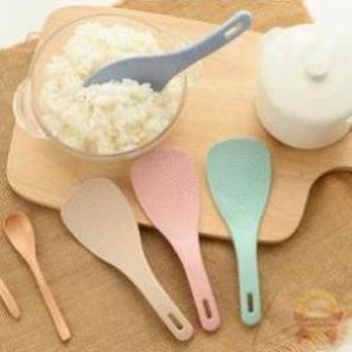 Dallm Dallm thìa nhựa dùng 1 lần