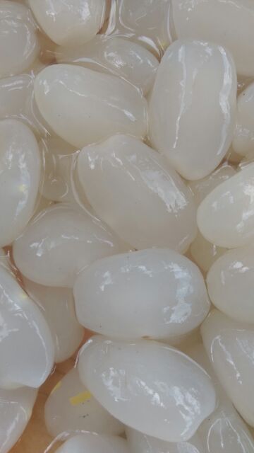 1kg hạt đác size cực to | BigBuy360 - bigbuy360.vn