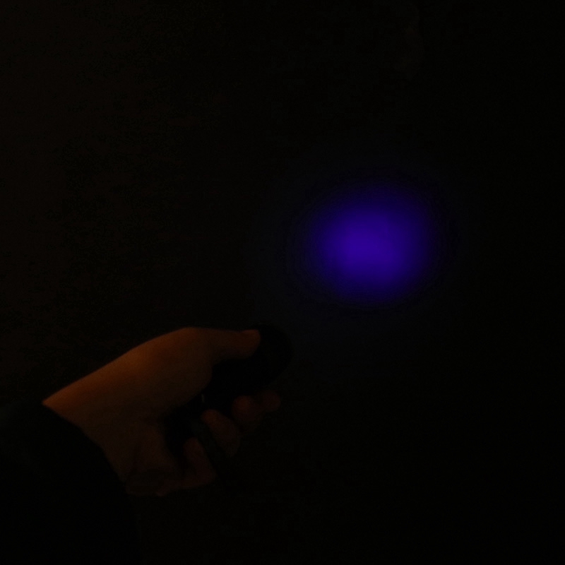 Đèn pin LED UV 21 bóng siêu sáng