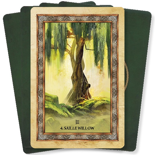 Bộ bài Celtic Tree Oracle C2