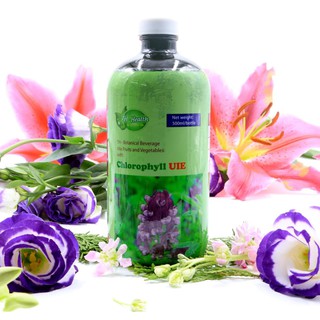 Diệp lục Cholorophyll TH Health