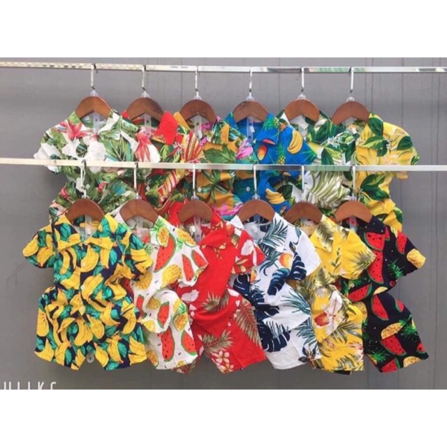Bộ lanh lụa hoa quả bé Trai/ gái 9-19kg