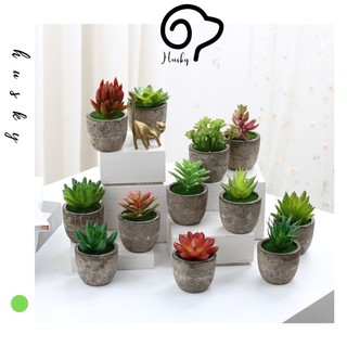 Cây Xương Rồng Giả + Kèm Chậu, Cây Giả Trang Trí Bàn Học, Bàn Làm Việc