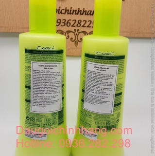 Gội xả chihtsai chính hãng