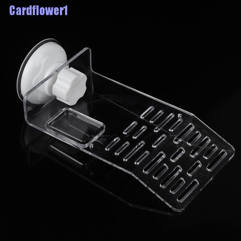 Đế Nhựa Acrylic Dập Nổi Trên Bề Mặt Nước Tiện Lợi Dành Cho Rùa