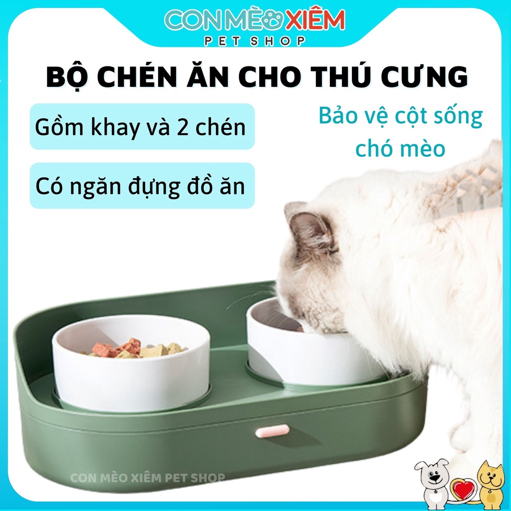 Kệ chén đôi cho chó mèo bát ăn chống gù cao cấp sang trọng, dụng cụ ăn 2 khay bát thú cưng Con Mèo Xiêm