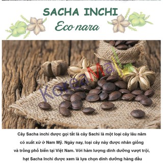 Hạt sacha inchi 150g