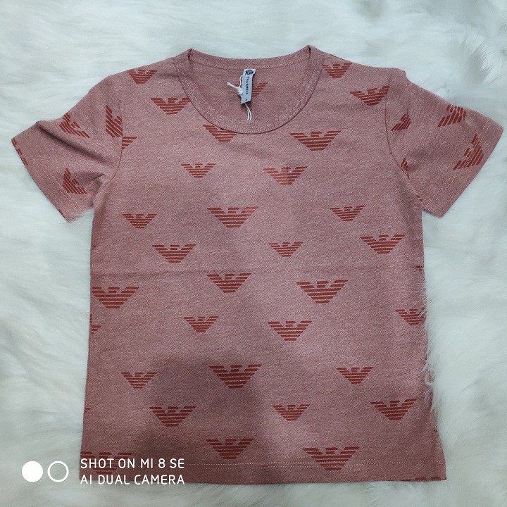 Áo thun bé trai, áo thu họa tiết nhiêu màu bé trai 013067