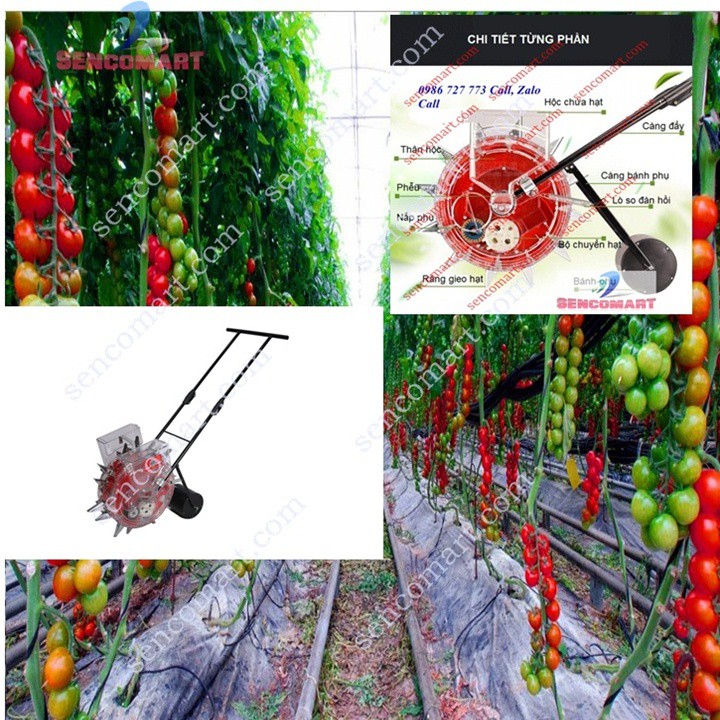 Máy gieo hạt ngô và bón phân đẩy tay VNGH-999, máy gieo hạt giá rẻ