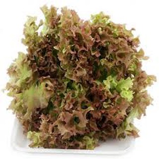 2gram HẠT GIỐNG XÀ LÁCH TÍM DỄ TRỒNG