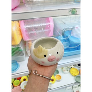 bát ăn gấu cute cho hamster