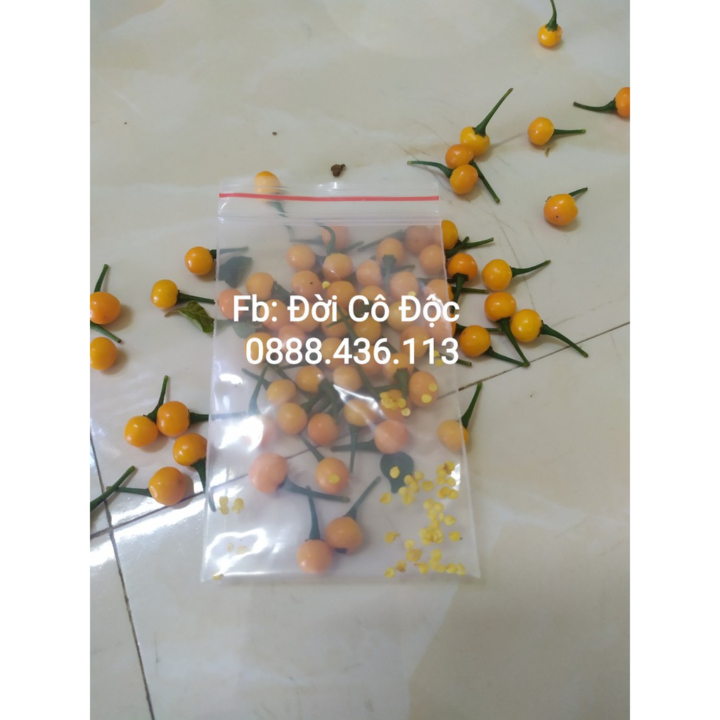 (Tặng 2 quả tươi) 20 hạt ớt mắc nhất thế giới Aji Charapita.