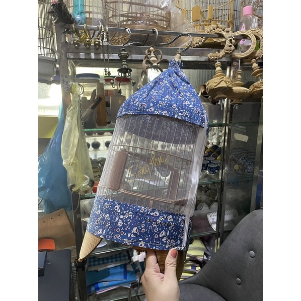 Áo khuyên pha lưới