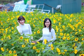 Sét bộ áo dài trơn cổ 2p đủ màu